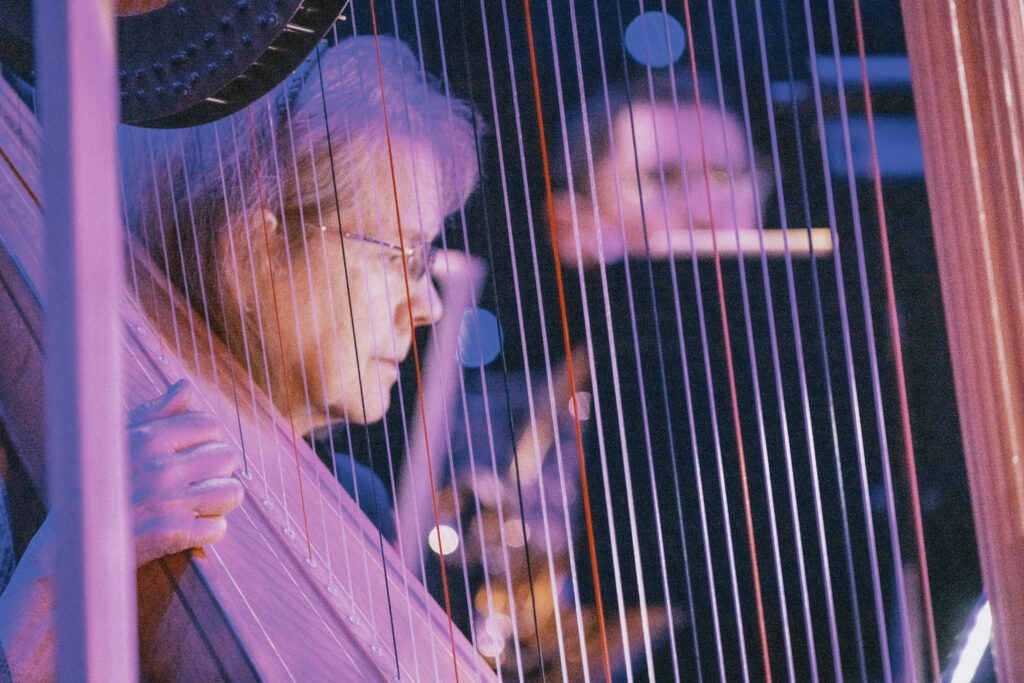 A close up of a harp player through the stings